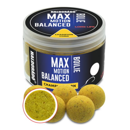 Haldorádó Max Motion Boilie Balanced Champion Corn 20mm