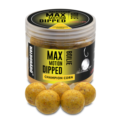 Haldorádó Max Motion Boilie Dipped Champion Corn 20mm