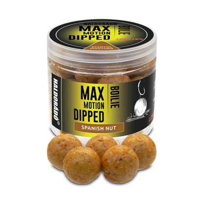 Haldorádó Max Motion Boilie Dipped Spanyol Mogyoró 20mm