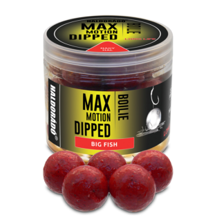Haldorádó Max Motion Boilie Dipped Nagy Hal 20mm